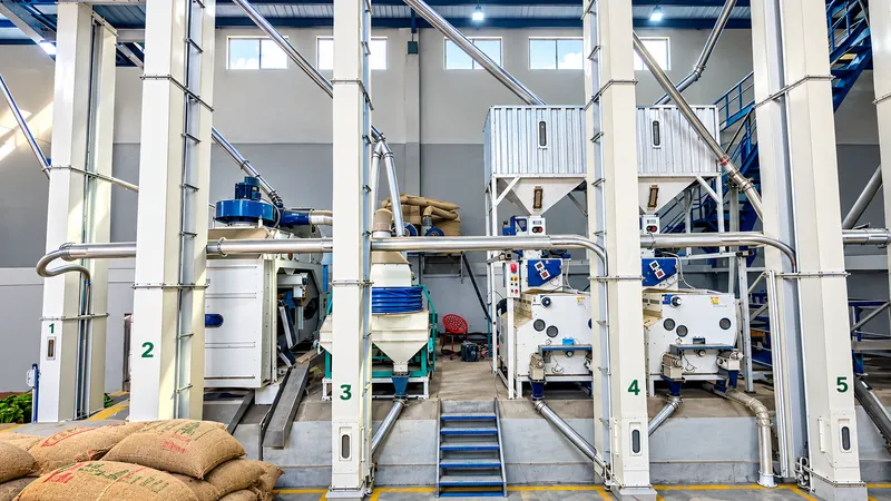 Paddy cleaning and husking line