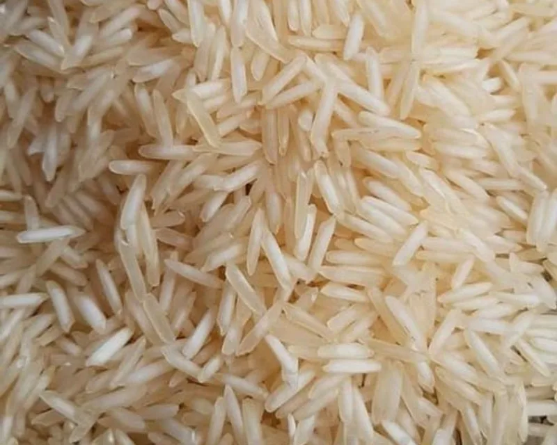 Golden coloured grains of 1121 Golden Sella Basmati rice