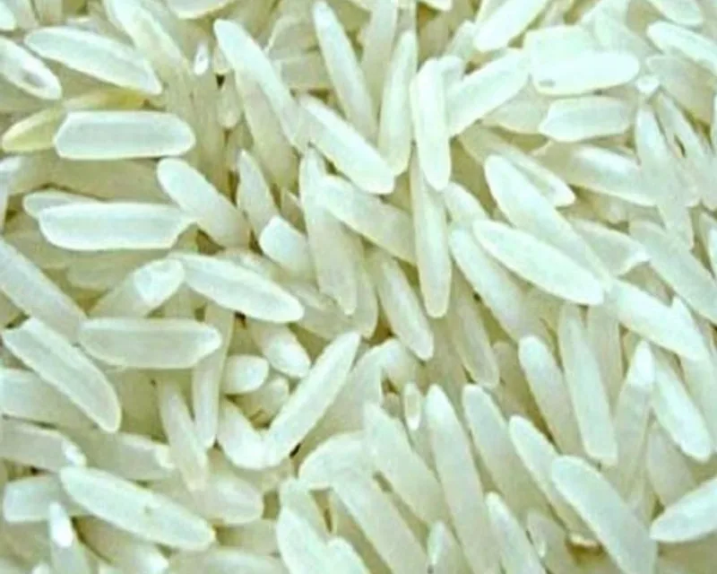 Bright white grains of 1121 Steam Basmati rice